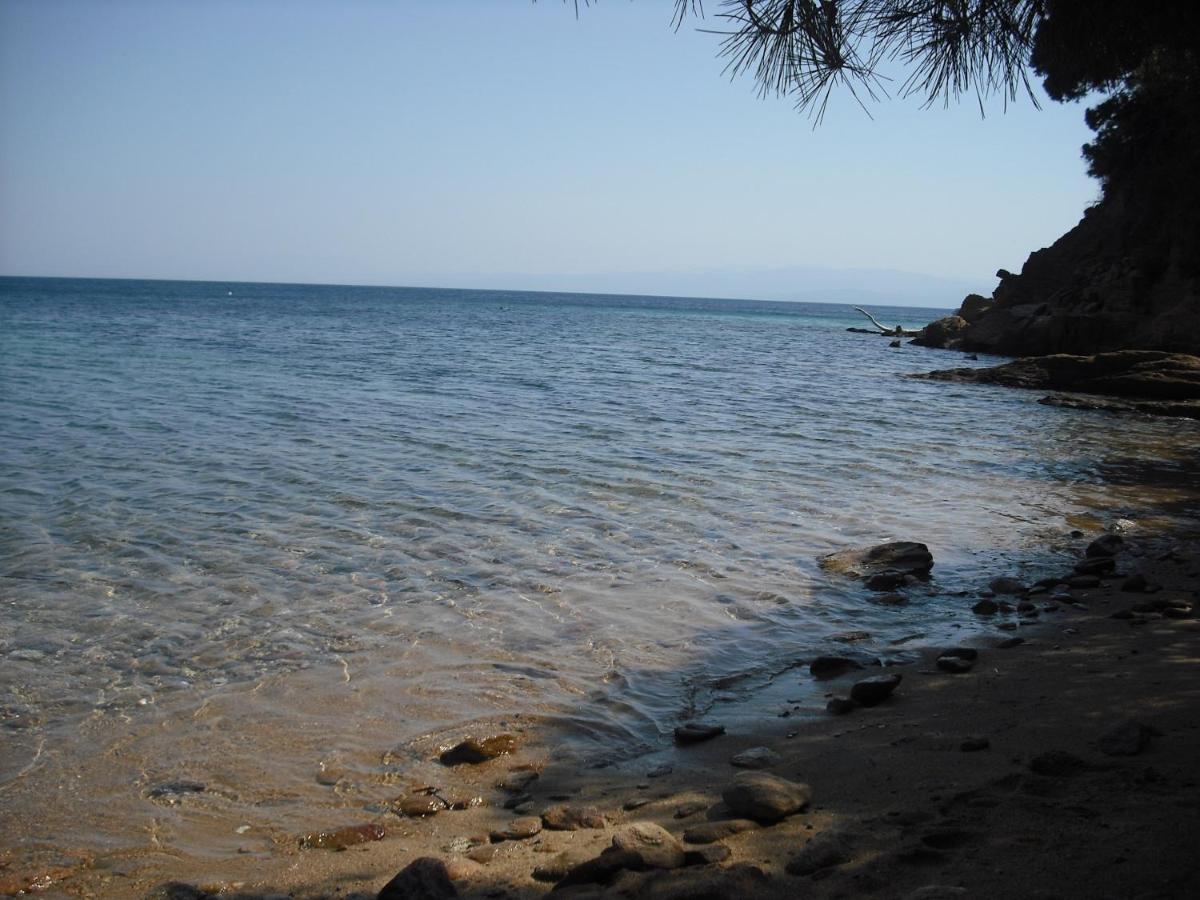 Ckiathi - Ckiaθi - Ps Rental Agia Paraskevi  Luaran gambar
